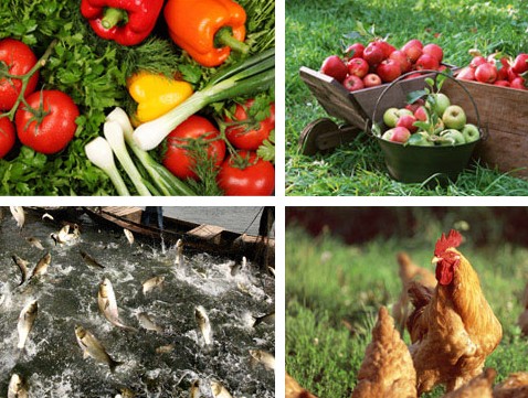 找專業(yè)食堂承包公司 食材配送餐飲公司注意事項(xiàng)